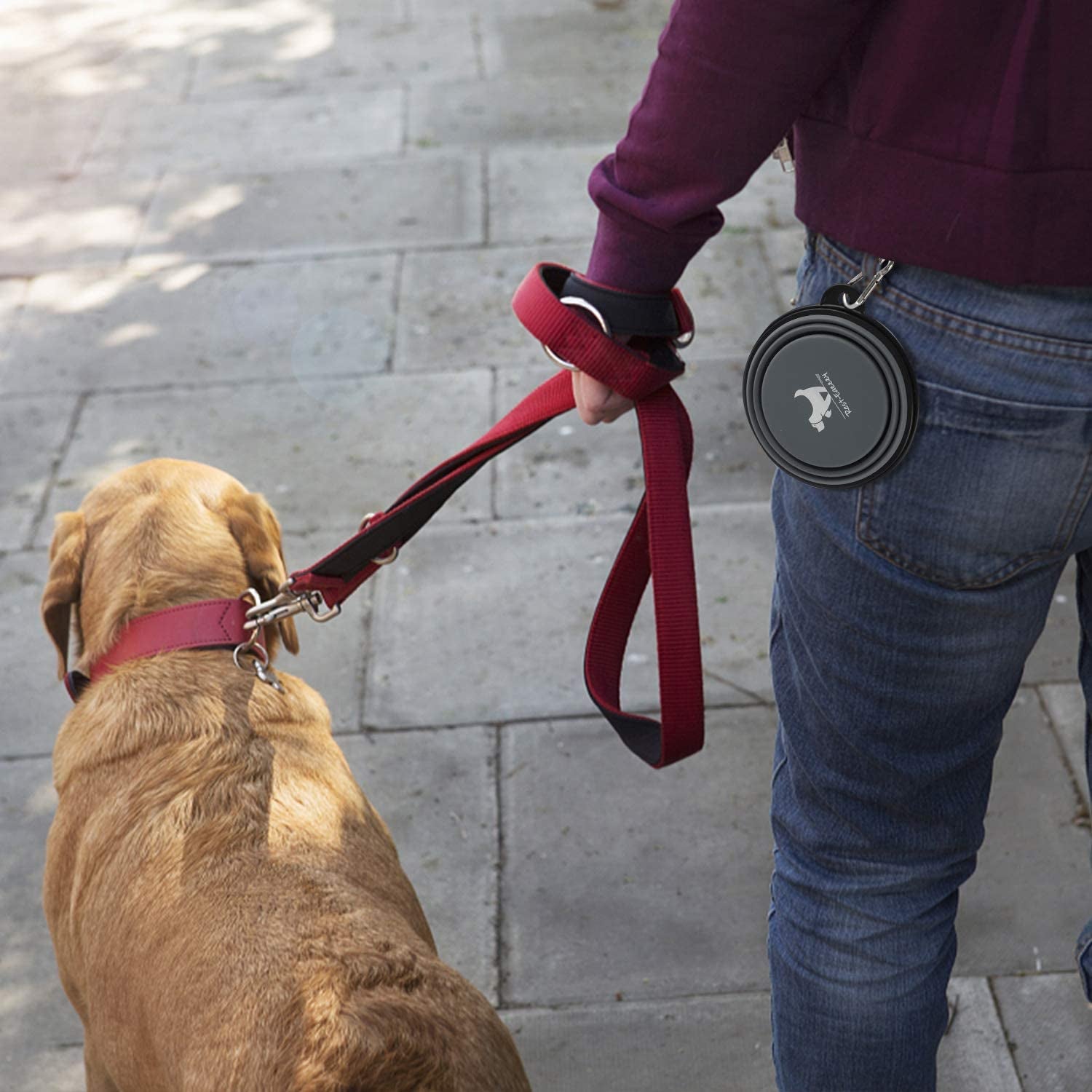 Collapsible Dog Bowls for Travel, 2-Pack Dog Portable Water Bowl for Dogs Cats Pet Foldable Feeding Watering Dish for Traveling Camping Walking with 2 Carabiners, BPA Free